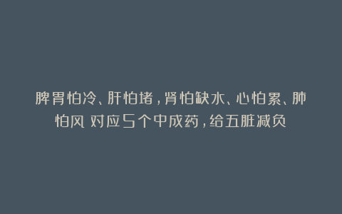 脾胃怕冷、肝怕堵，肾怕缺水、心怕累、肺怕风！对应5个中成药，给五脏减负！