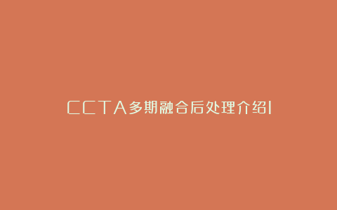 CCTA多期融合后处理介绍1