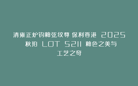 清雍正炉钧釉弦纹尊（保利香港 2025 秋拍 LOT 5211）：釉色之美与工艺之奇
