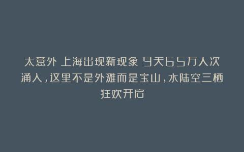 太意外！上海出现新现象！9天65万人次涌入，这里不是外滩而是宝山，水陆空三栖狂欢开启
