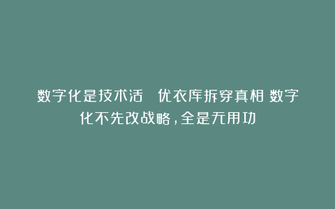 数字化是技术活？ 优衣库拆穿真相：数字化不先改战略，全是无用功