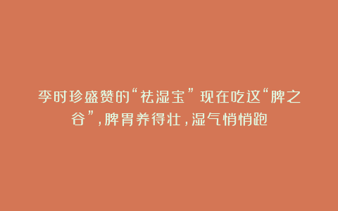 李时珍盛赞的“祛湿宝”！现在吃这“脾之谷”，脾胃养得壮，湿气悄悄跑