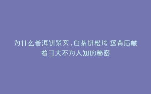 为什么普洱饼紧实,白茶饼松垮?这背后藏着3大不为人知的秘密