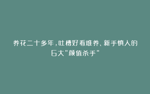 养花二十多年，吐槽好看难养、新手慎入的6大＂颜值杀手＂