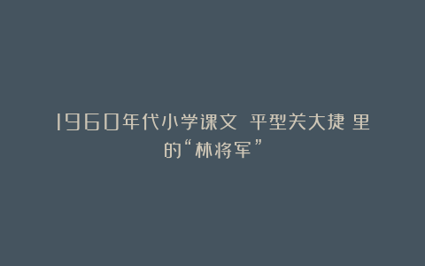 1960年代小学课文：《平型关大捷》里的“林将军”