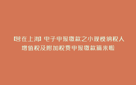 【营在上海】电子申报缴款之小规模纳税人增值税及附加税费申报缴款篇来啦！