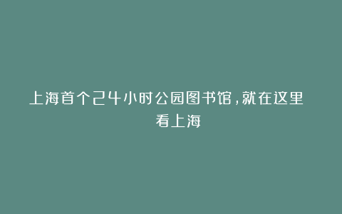 上海首个24小时公园图书馆,就在这里 | 看上海