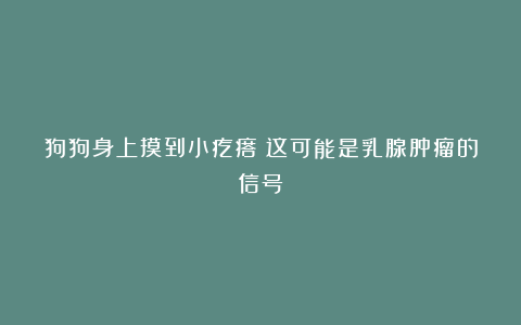 狗狗身上摸到小疙瘩？这可能是乳腺肿瘤的信号！