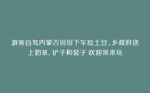 游客自驾内蒙古纷纷下车捡土豆,乡政府送上奶茶、铲子和袋子:欢迎常来玩