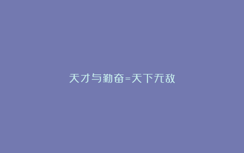 天才与勤奋=天下无敌