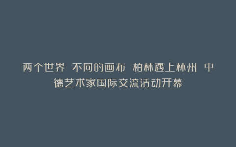 两个世界 不同的画布 柏林遇上林州 中德艺术家国际交流活动开幕
