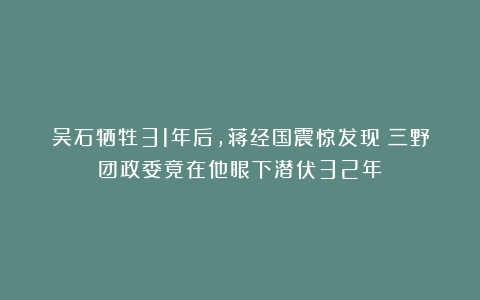吴石牺牲31年后，蒋经国震惊发现：三野团政委竟在他眼下潜伏32年