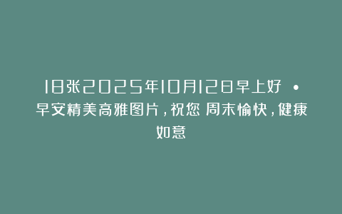 18张2025年10月12日早上好 •早安精美高雅图片，祝您：周末愉快，健康如意！