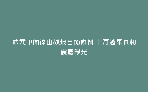 武元甲闻谅山战报当场瘫倒！十万越军真相震撼曝光
