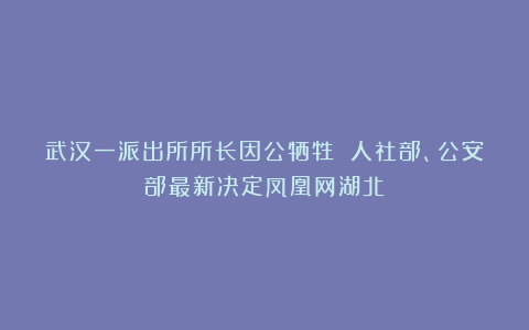 武汉一派出所所长因公牺牲 人社部、公安部最新决定凤凰网湖北