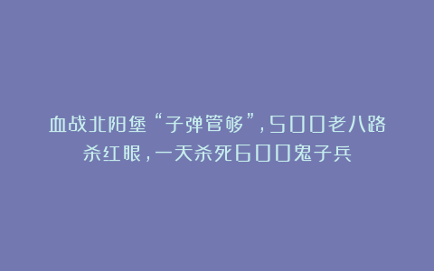 血战北阳堡：“子弹管够”，500老八路杀红眼，一天杀死600鬼子兵