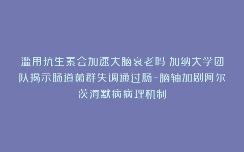 滥用抗生素会加速大脑衰老吗?加纳大学团队揭示肠道菌群失调通过肠-脑轴加剧阿尔茨海默病病理机制