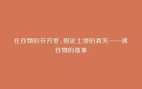 在谷物的芬芳里，照见土地的真实——读《谷物的故事》