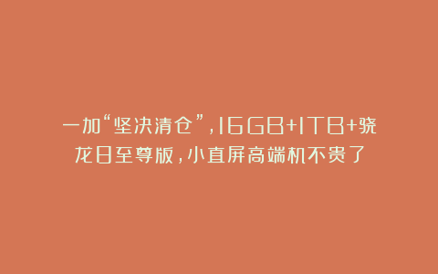 一加“坚决清仓”，16GB+1TB+骁龙8至尊版，小直屏高端机不贵了