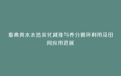畜禽粪水水热炭化减排与养分循环利用及田间应用进展