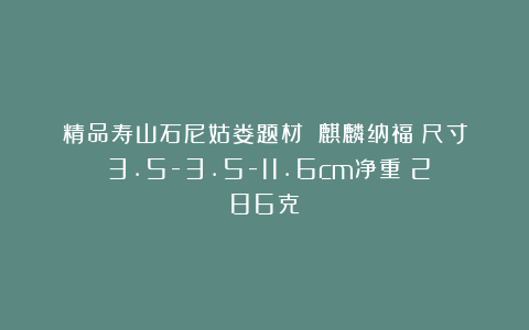 精品寿山石尼姑娄题材：《麒麟纳福》尺寸：3.5-3.5-11.6cm净重：286克