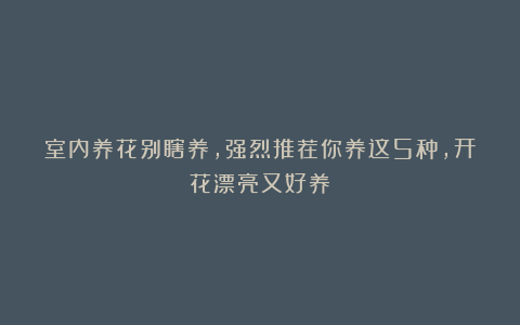 室内养花别瞎养，强烈推荐你养这5种，开花漂亮又好养
