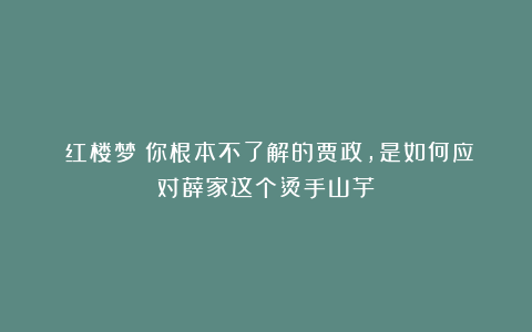 《红楼梦》你根本不了解的贾政，是如何应对薛家这个烫手山芋？