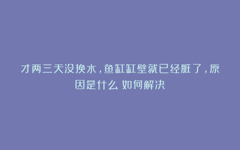 才两三天没换水，鱼缸缸壁就已经脏了，原因是什么？如何解决？