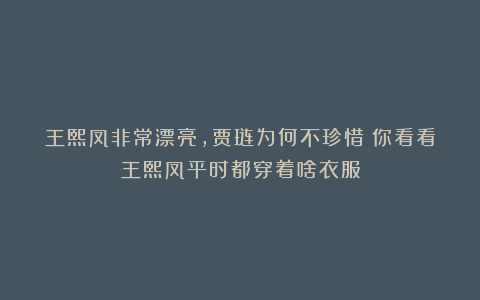 王熙凤非常漂亮,贾琏为何不珍惜?你看看王熙凤平时都穿着啥衣服