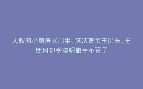 大观园小厨房又出事，这次贾宝玉出头，王熙凤却学聪明撒手不管了