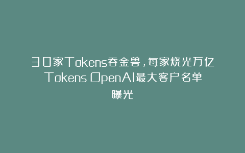 30家Tokens吞金兽，每家烧光万亿Tokens！OpenAI最大客户名单曝光