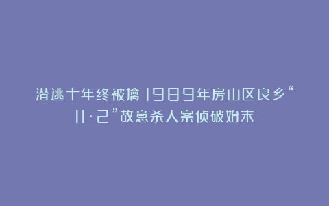 潜逃十年终被擒!1989年房山区良乡“11·2”故意杀人案侦破始末