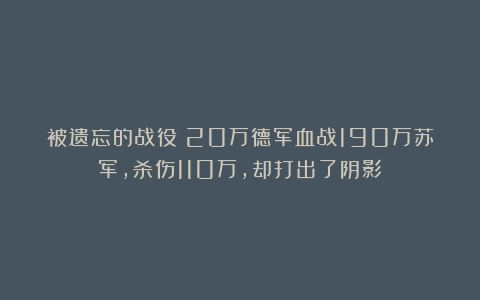 被遗忘的战役：20万德军血战190万苏军，杀伤110万，却打出了阴影