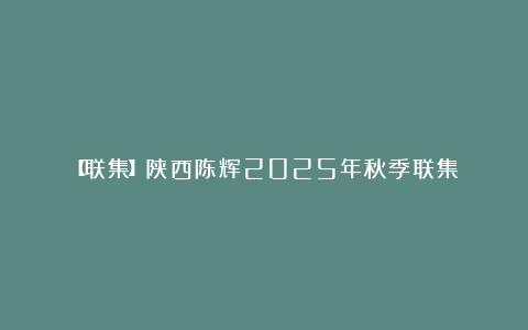 【联集】陕西陈辉2025年秋季联集