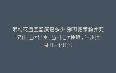 茉莉花适宜温度是多少？别再把茉莉养死！记住15℃出室、5-10℃休眠，4步控温+6个细节