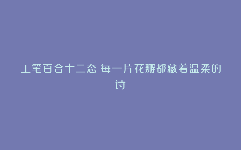 工笔百合十二态：每一片花瓣都藏着温柔的诗