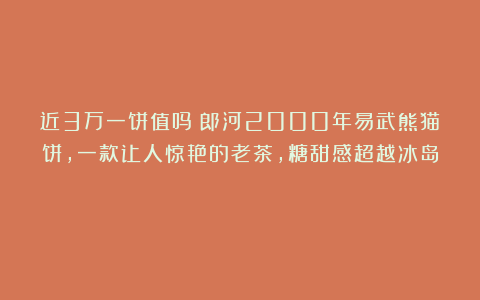 近3万一饼值吗?郎河2000年易武熊猫饼,一款让人惊艳的老茶,糖甜感超越冰岛!