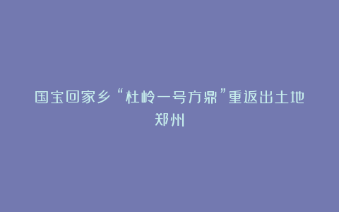 国宝回家乡：“杜岭一号方鼎”重返出土地郑州