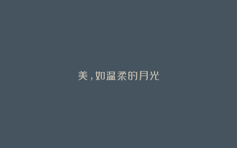 美，如温柔的月光