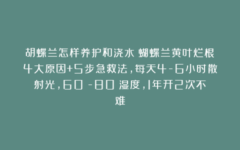 胡蝶兰怎样养护和浇水？蝴蝶兰黄叶烂根？4大原因+5步急救法，每天4-6小时散射光，60%-80%湿度，1年开2次不难