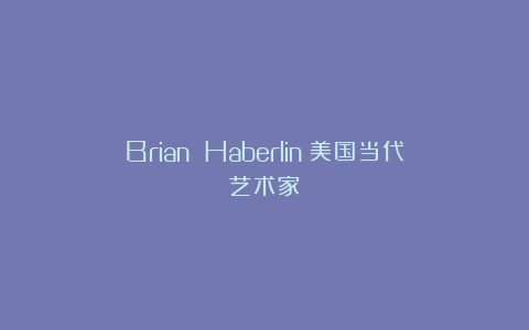 Brian Haberlin:美国当代艺术家