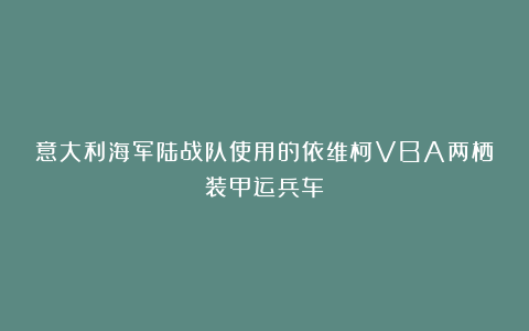 意大利海军陆战队使用的依维柯VBA两栖装甲运兵车