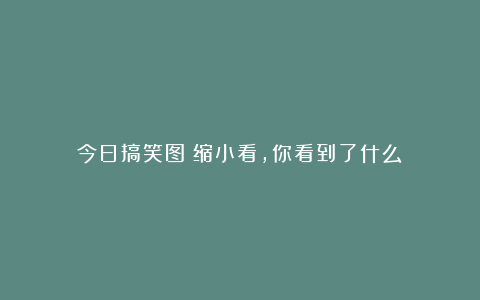 今日搞笑图：缩小看，你看到了什么？