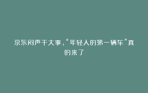 京东闷声干大事，“年轻人的第一辆车”真的来了