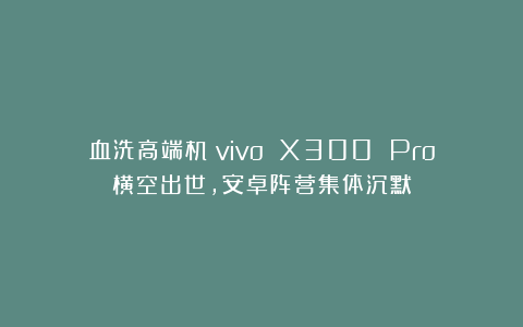 血洗高端机！vivo X300 Pro横空出世，安卓阵营集体沉默