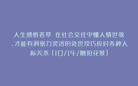 人生感悟荟萃：《在社会交往中懂人情世故，才能有洞察力灵活的处世技巧应对各种人际关系》(10/14/随拍花景)