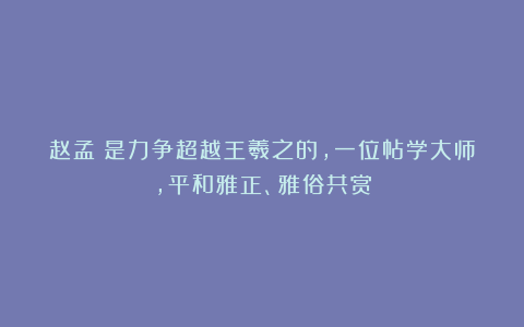 赵孟頫是力争超越王羲之的，一位帖学大师，平和雅正、雅俗共赏
