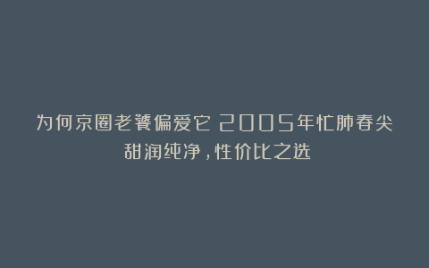 为何京圈老饕偏爱它？2005年忙肺春尖：甜润纯净，性价比之选