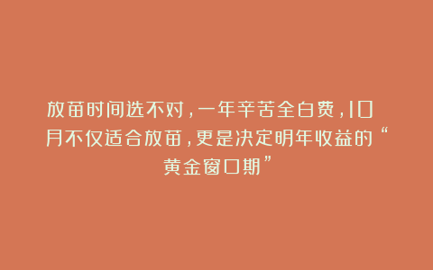 放苗时间选不对,一年辛苦全白费,10 月不仅适合放苗,更是决定明年收益的 “黄金窗口期”