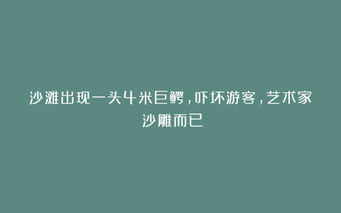 沙滩出现一头4米巨鳄，吓坏游客，艺术家：沙雕而已